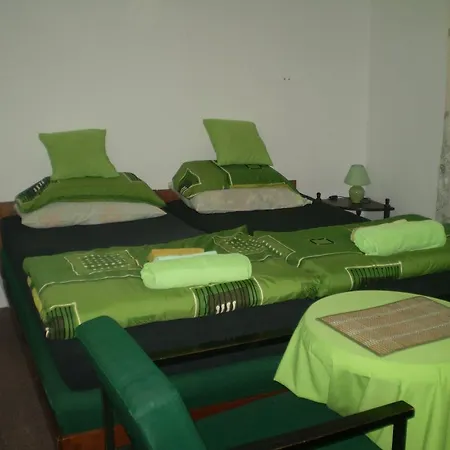 Obla Mare Apartment Donji Milanovac